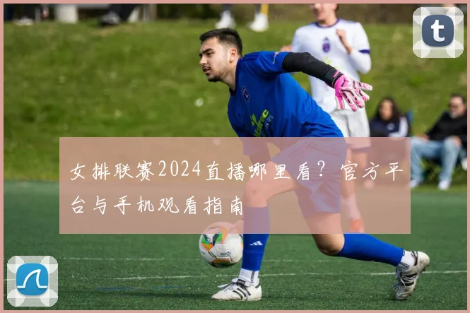 女排联赛2024直播哪里看？官方平台与手机观看指南