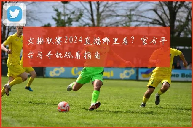 女排联赛2024直播哪里看？官方平台与手机观看指南