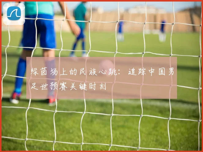 绿茵场上的民族心跳:追踪中国男足世预赛关键时刻