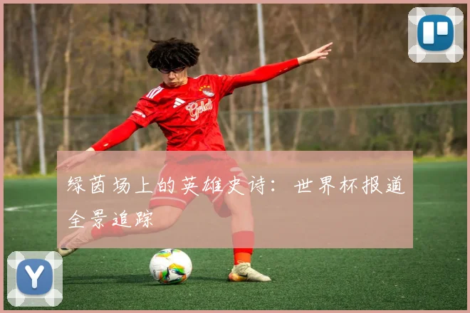 绿茵场上的英雄史诗：世界杯报道全景追踪