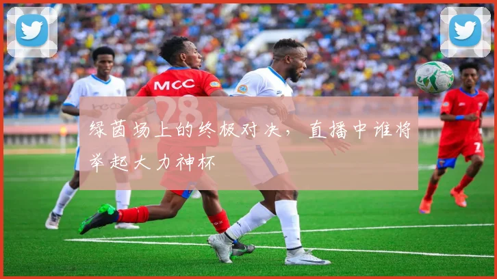 绿茵场上的终极对决,直播中谁将举起大力神杯