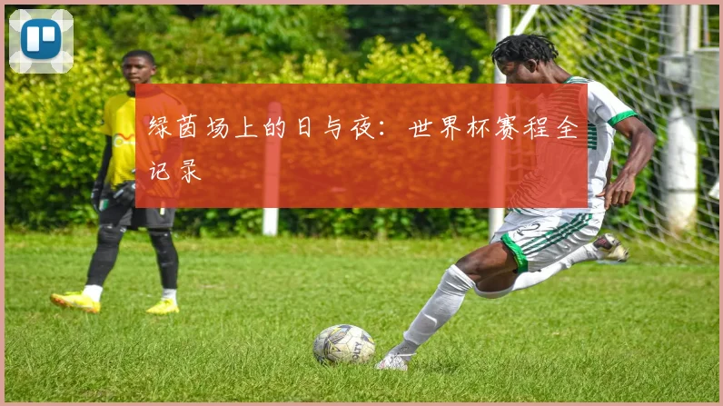 绿茵场上的日与夜:世界杯赛程全记录