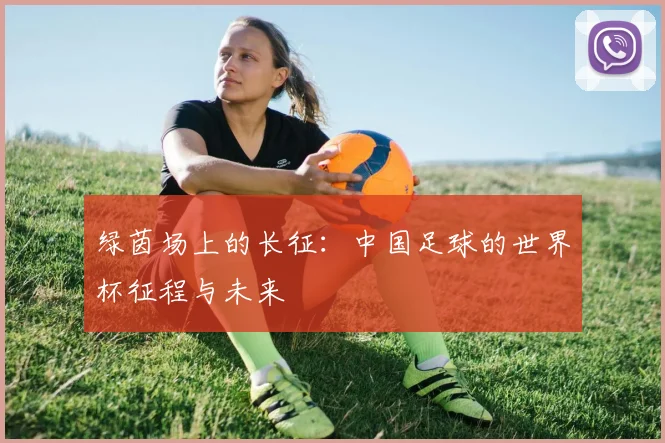绿茵场上的长征：中国足球的世界杯征程与未来