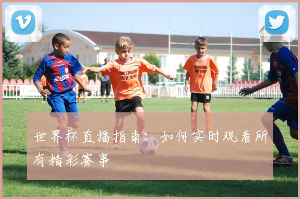 世界杯直播指南：如何实时观看所有精彩赛事