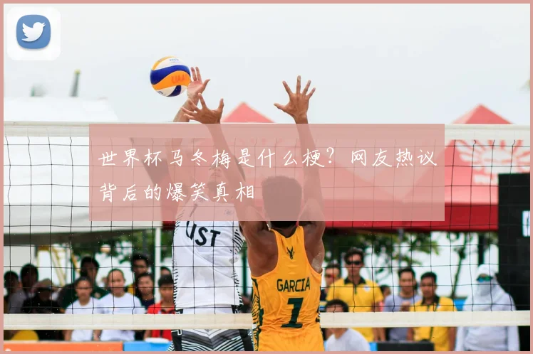 世界杯马冬梅是什么梗?网友热议背后的爆笑真相