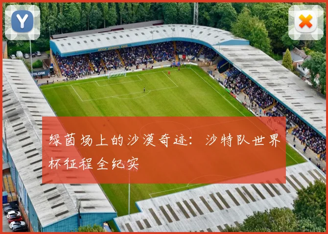 绿茵场上的沙漠奇迹：沙特队世界杯征程全纪实