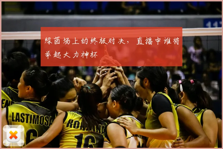 绿茵场上的终极对决，直播中谁将举起大力神杯