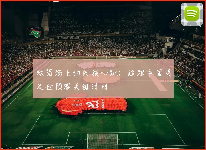 绿茵场上的民族心跳：追踪中国男足世预赛关键时刻