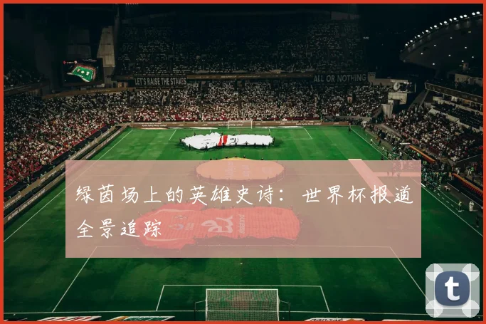 绿茵场上的英雄史诗：世界杯报道全景追踪